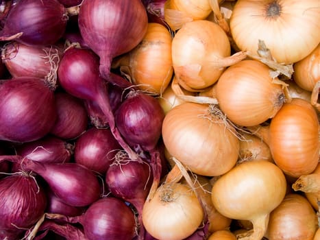 Agricultural background, a pile of beautiful bulb onions