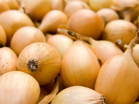 A pile of beautiful bulb onions on a counter