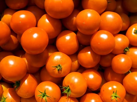 A pile of beautiful tomato on a counter