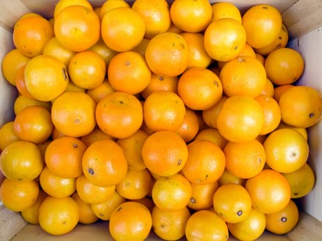 The beautiful tangerines on a counter