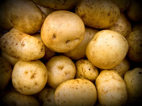 The large farm potatoes in the heap