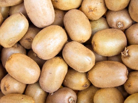 The beautiful kiwis on a counter
