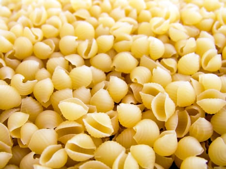 food background a pile of beautiful pasta cockleshel