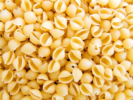 food background a pile of beautiful pasta cockleshel