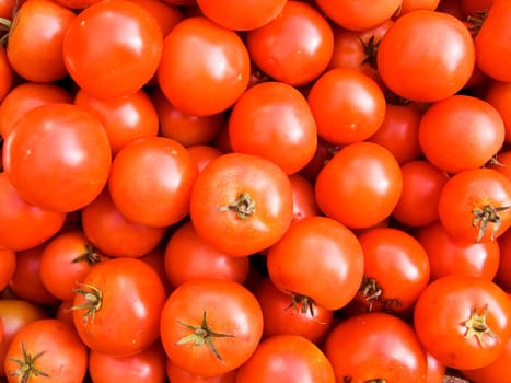 The beautiful fresh red tomatos in the heap