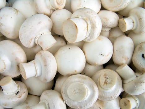 Agricultural background, a pile of beautiful mushroom