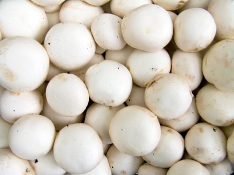 Agricultural background, a pile of beautiful mushroom