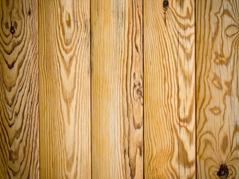 The pine log architecture natural abstract background