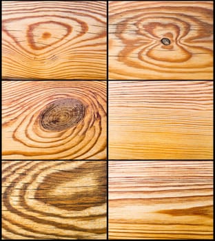 The abstract wood decor texture, pine decoration set