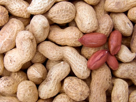 Agricultural background, a pile of beautiful peanut