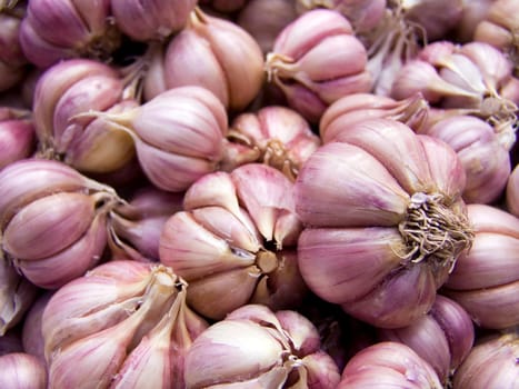 Agricultural background, a pile of beautiful garlic