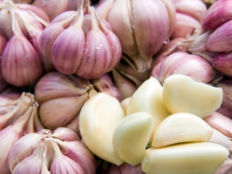Agricultural background, a pile of beautiful garlic