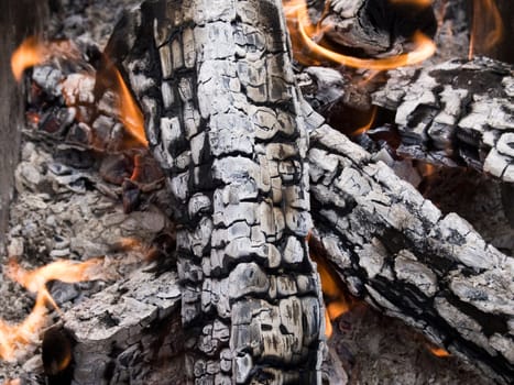 The firewood burning for cooking grill or barbecue
