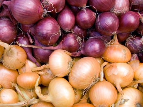 Agricultural background, a pile of beautiful bulb onions