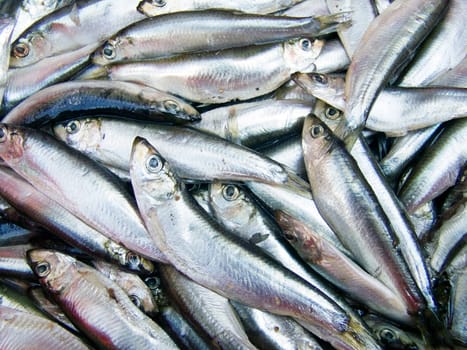 A pile of beautiful small fishes on a counter