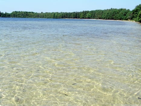 The beautiful wild nature landscape, crystal clear water in the lake in the woods