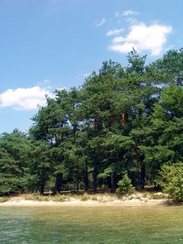 The beautiful wild nature landscape, lake beach in a pine woods