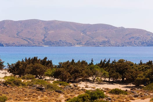 Wide view of Kedrodasos beach, island of Crete, Greece