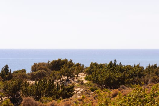 Wide view of Kedrodasos beach, island of Crete, Greece