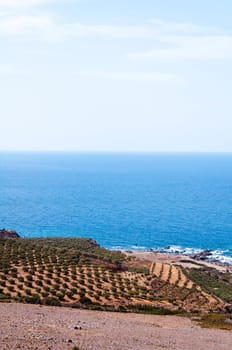 Wide view of Kedrodasos beach, island of Crete, Greece