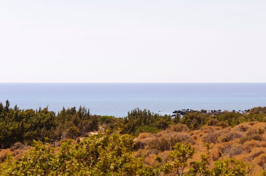 Wide view of Kedrodasos beach, island of Crete, Greece