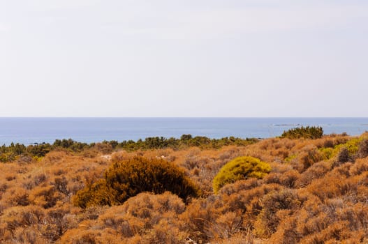 Wide view of Kedrodasos beach, island of Crete, Greece