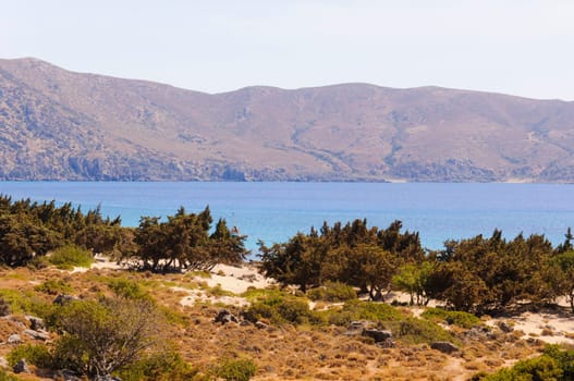 Wide view of Kedrodasos beach, island of Crete, Greece