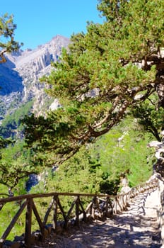 The Samariá Gorge is a National Park of Greece on the island of Crete - a major tourist attraction of the island - and a World's Biosphere Reserve.