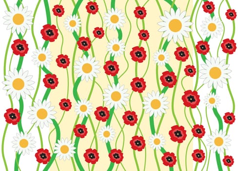 The flowers camomile and poppy background