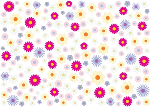 Beautiful summer flowers on a white background