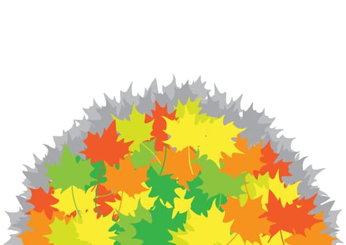 Heap from maple leaves on the white background