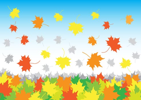falling maple leaves in heap on the white background