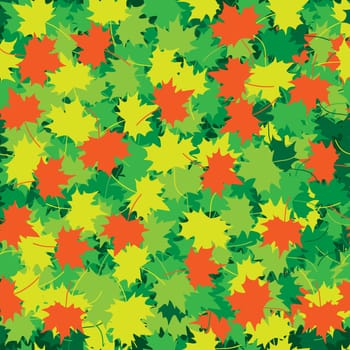 The green, yellow and red maple leaves texture