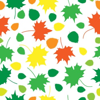 Beautiful autumn oak and maple leaves texture on white background