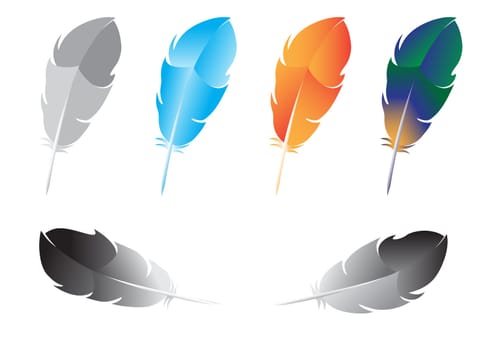 Beautiful multicolored feathers for writing isolated on white background