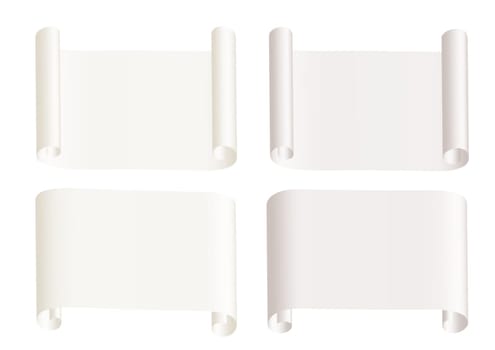 Paper roll isolated on the white background