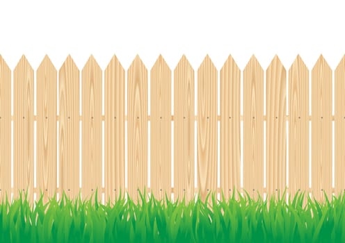 The wood fence and the green grass