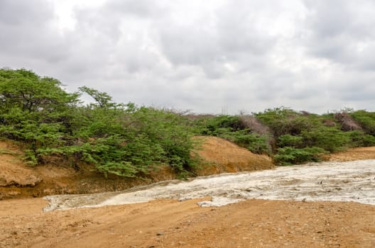 Flash flood filling up a dry river bed in a desert