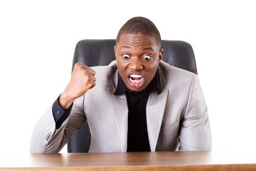 male businessman sitting in a chair,angry. madness. isolated on white.