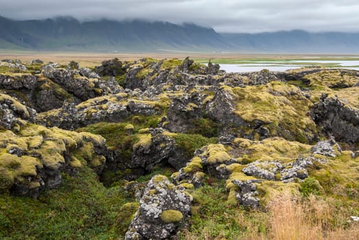 moss and rocks in Iceland Langaholt