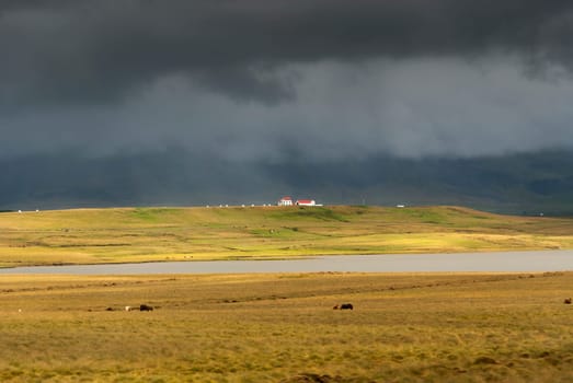 black sky and meadows in Iceland