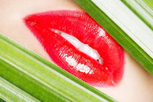 red lips closeup wit green material on both sides.