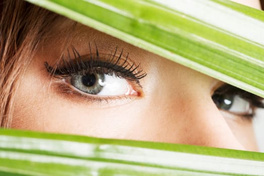 detailed closeup of female's eye between green fabric over white