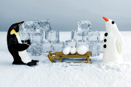 Penguin pulling sled with snowballs on board