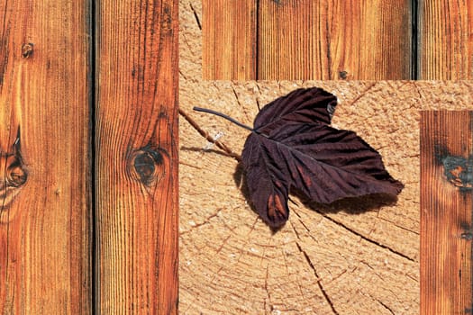 Wood is nature