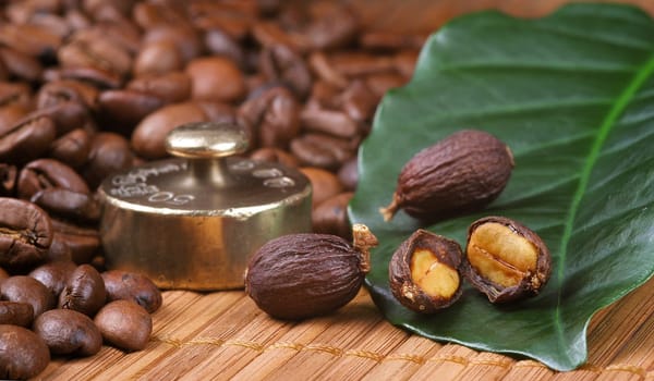Fresh coffee beans with leaf