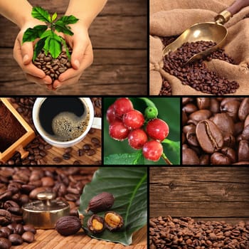 Coffee Collage