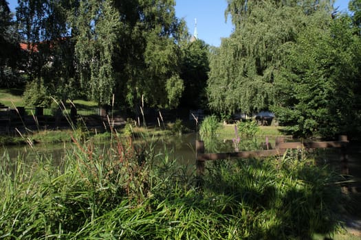 The Bossenteich in Bösingfeld