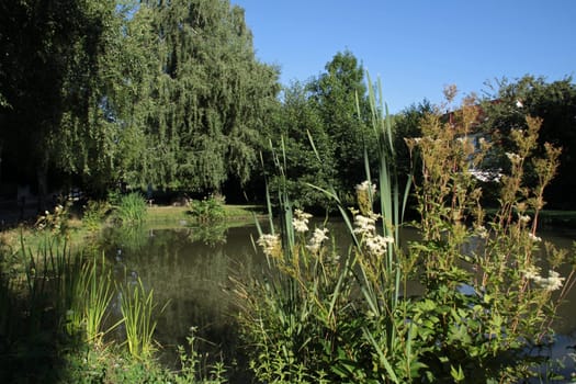 The Bossenteich in Bösingfeld