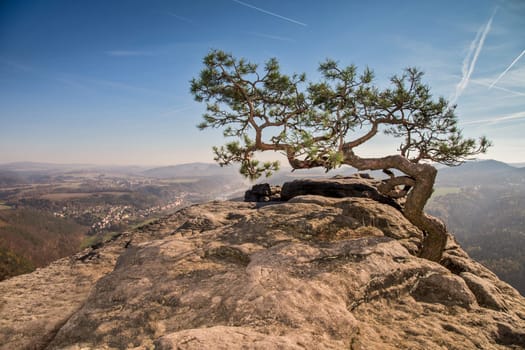 View from Lilienstein